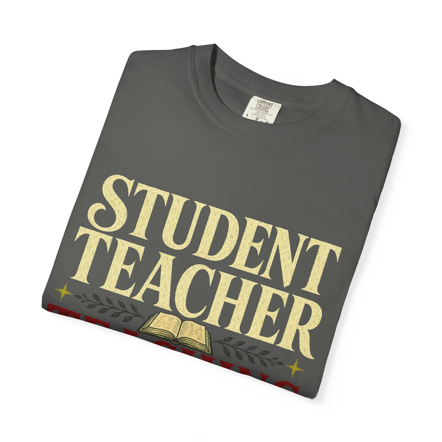 Student Teacher "Teaching the Plot Forward" T-Shirt