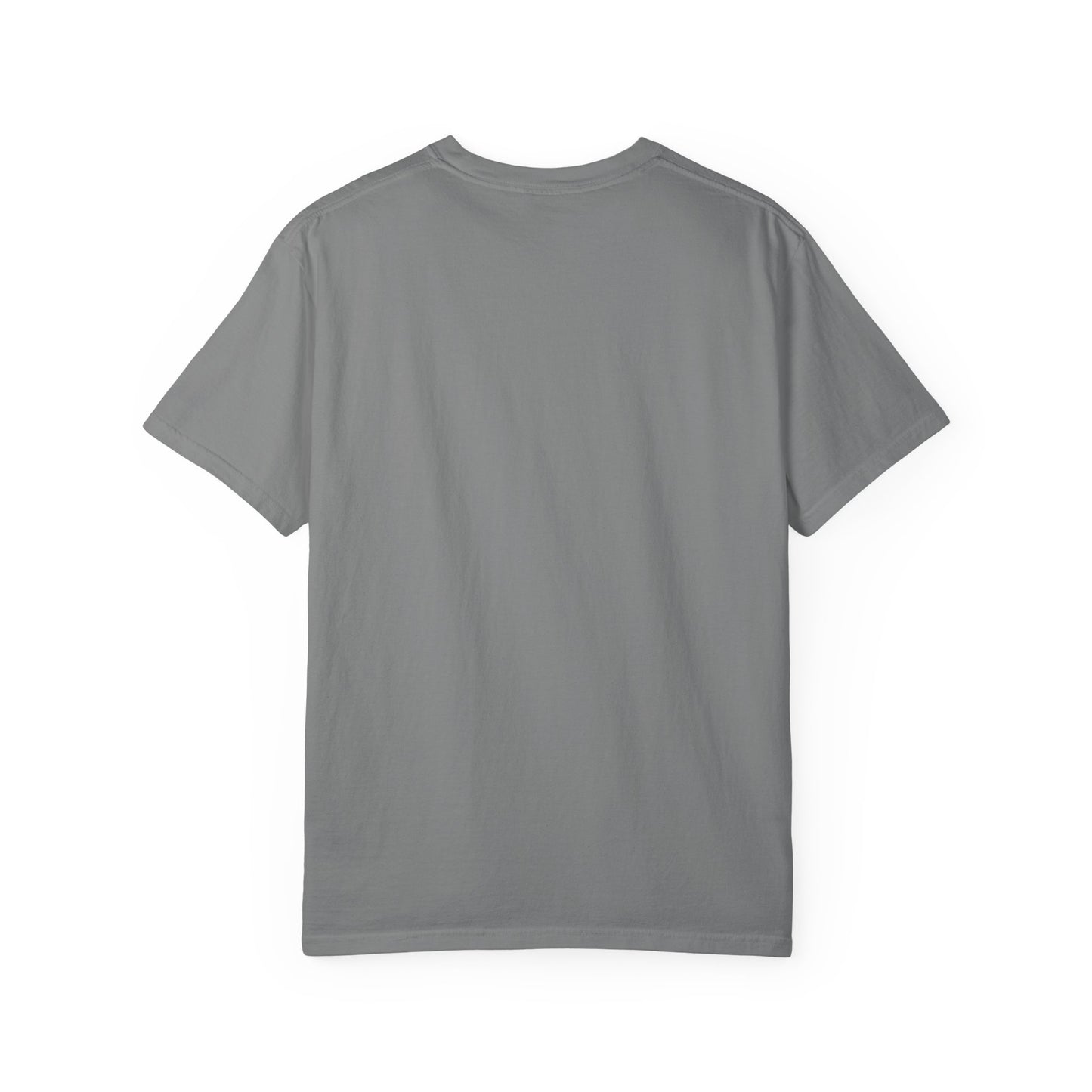 Student Teacher "Teaching the Plot Forward" T-Shirt